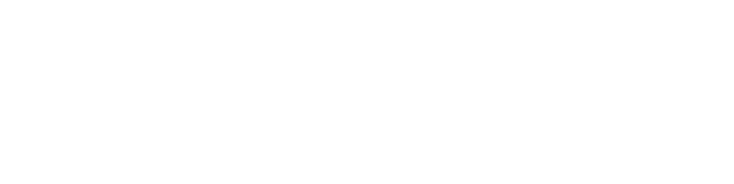Wild Walls Logo in White